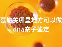 嘉峪关哪里地方可以做dna亲子鉴定