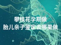 攀枝花孕期做胎儿亲子鉴定去哪里做