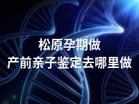 松原孕期做产前亲子鉴定去哪里做