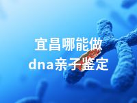 宜昌哪能做dna亲子鉴定