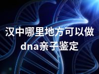 汉中哪里地方可以做dna亲子鉴定