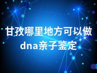 甘孜哪里地方可以做dna亲子鉴定