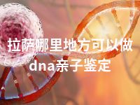 拉萨哪里地方可以做dna亲子鉴定