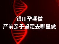 银川孕期做产前亲子鉴定去哪里做