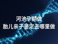 河池孕期做胎儿亲子鉴定去哪里做