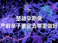 楚雄孕期做产前亲子鉴定去哪里做好