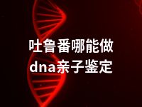 吐鲁番哪能做dna亲子鉴定