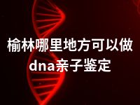 榆林哪里地方可以做dna亲子鉴定