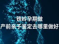 铁岭孕期做产前亲子鉴定去哪里做好