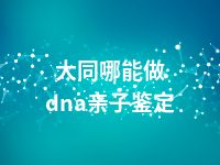 大同哪能做dna亲子鉴定