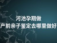 河池孕期做产前亲子鉴定去哪里做好