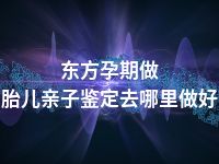 东方孕期做胎儿亲子鉴定去哪里做好