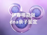 伊春哪能做dna亲子鉴定