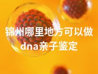 锦州哪里地方可以做dna亲子鉴定