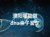 濮阳哪能做dna亲子鉴定