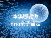 本溪哪能做dna亲子鉴定