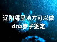 辽阳哪里地方可以做dna亲子鉴定