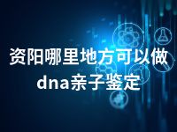 资阳哪里地方可以做dna亲子鉴定