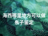 海西哪里地方可以做亲子鉴定