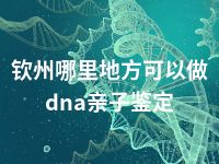 钦州哪里地方可以做dna亲子鉴定