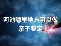 河池哪里地方可以做亲子鉴定