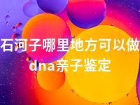 石河子哪里地方可以做dna亲子鉴定