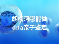 胡杨河哪能做dna亲子鉴定