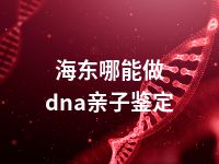 海东哪能做dna亲子鉴定