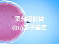 贺州哪能做dna亲子鉴定