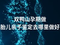 双鸭山孕期做胎儿亲子鉴定去哪里做好