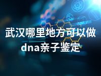 武汉哪里地方可以做dna亲子鉴定