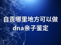 自贡哪里地方可以做dna亲子鉴定