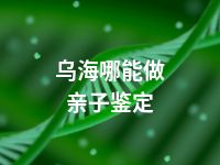 乌海哪能做亲子鉴定