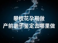 攀枝花孕期做产前亲子鉴定去哪里做