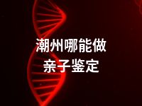 潮州哪能做亲子鉴定