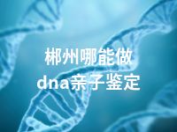 郴州哪能做dna亲子鉴定