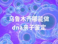 乌鲁木齐哪能做dna亲子鉴定