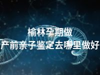 榆林孕期做产前亲子鉴定去哪里做好