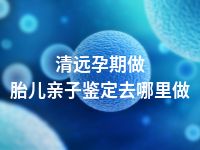 清远孕期做胎儿亲子鉴定去哪里做