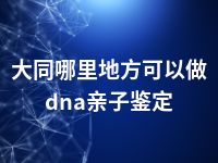 大同哪里地方可以做dna亲子鉴定