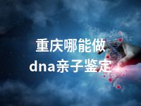 重庆哪能做dna亲子鉴定