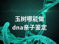 玉树哪能做dna亲子鉴定