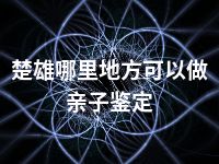 楚雄哪里地方可以做亲子鉴定