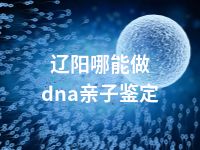 辽阳哪能做dna亲子鉴定