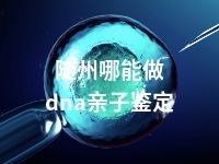 随州哪能做dna亲子鉴定