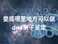 娄底哪里地方可以做dna亲子鉴定