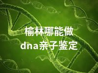 榆林哪能做dna亲子鉴定