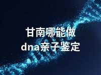 甘南哪能做dna亲子鉴定