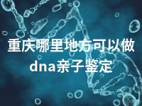 重庆哪里地方可以做dna亲子鉴定