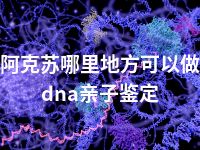 阿克苏哪里地方可以做dna亲子鉴定